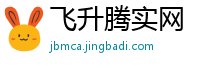 飞升腾实网